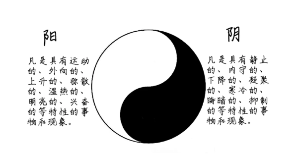 2024阴阳师最新外挂修改速度