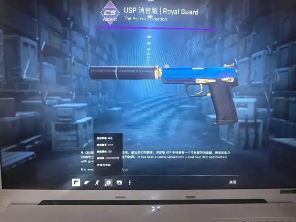 CSGO饰品交易平台推荐及购买攻略