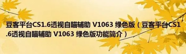 cs1.6自瞄辅助全面解析