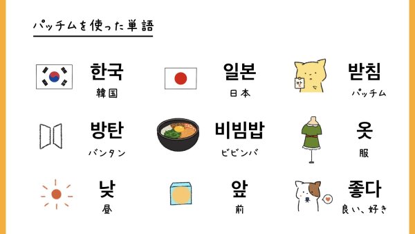 卡密货源辅助网