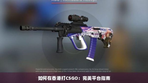 csgo完美平台稳定永久挂：全方位解析与实战攻略