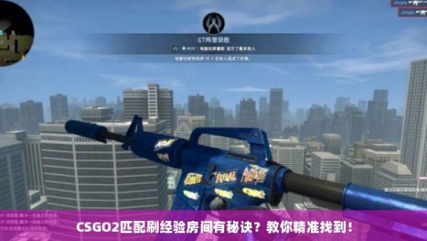 CSGO禁用脚本刷号风险指南