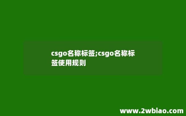 CSGO自瞄挂怎么用：详细教程