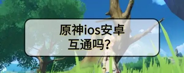 ios辅助器原神使用方法全解析
