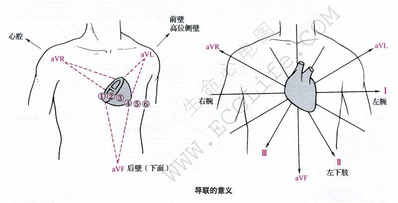 【mc我的世界科技末地】末地科技入侵:末影龙狂暴连连看