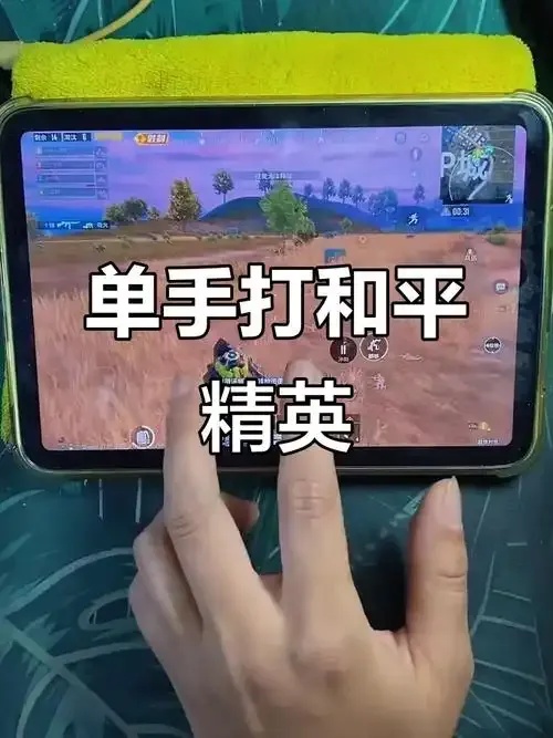 2021年和平精英辅助
