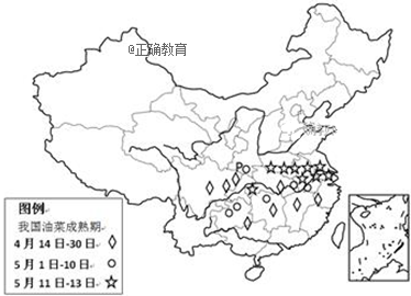 2024年最新版lol辅助英雄排行