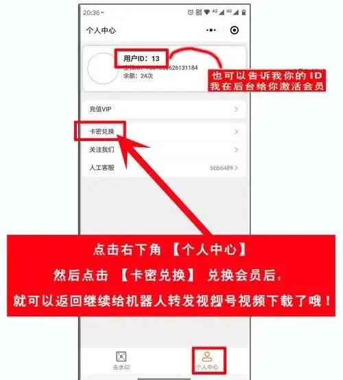 2024最新天天酷跑卡盟刷钻秘籍教程,安全高效获取钻石