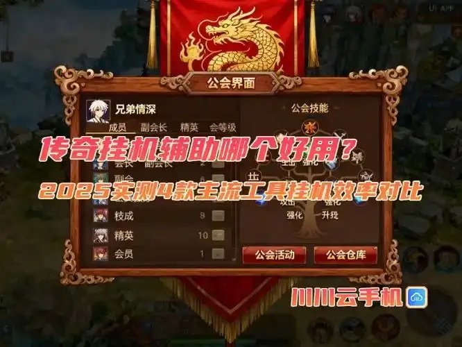 2025传奇辅助收费挂哪个好竟敢不选这一个?