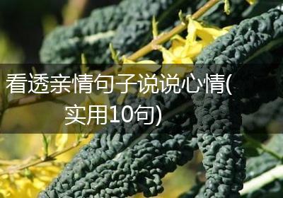7881交易平台官网