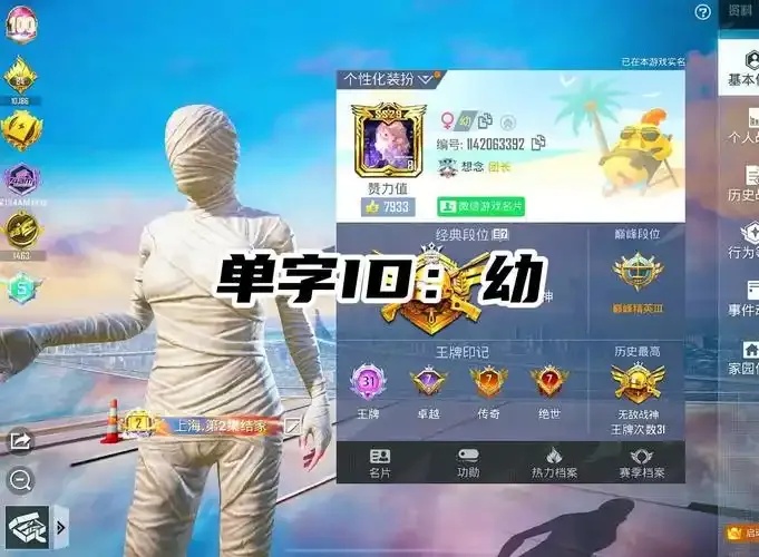 ag直装v1和平精英安装方法