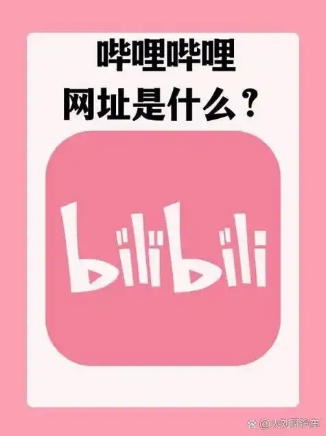 B站怎么玩,热门视频全解析
