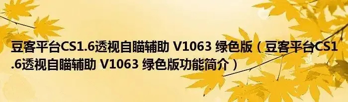 cs1.6自瞄辅助全面解析