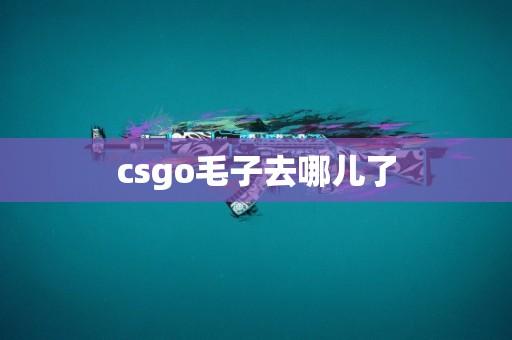CS2毛子自制版实用指南