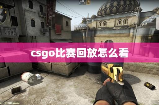 CSGO.LIVE比分直播平台,专业赛事与观赛指南