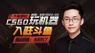 CSGO.LIVE比分直播平台,专业赛事与观赛指南