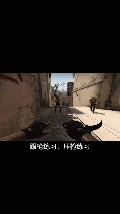 csgo辅助zdyu解析