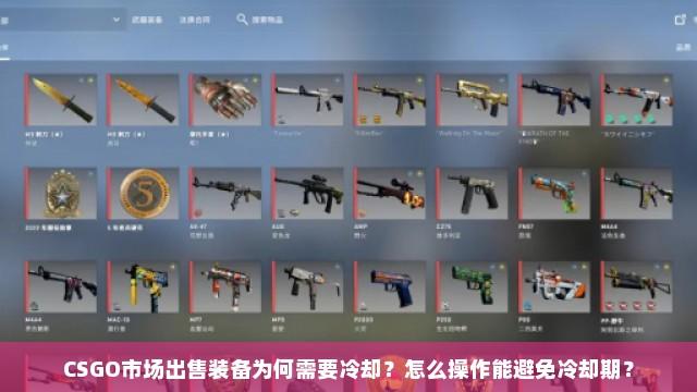 csgo供应是什么意思