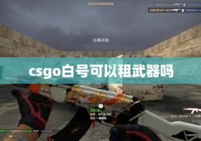 csgo黑号发卡网解析与风险提示