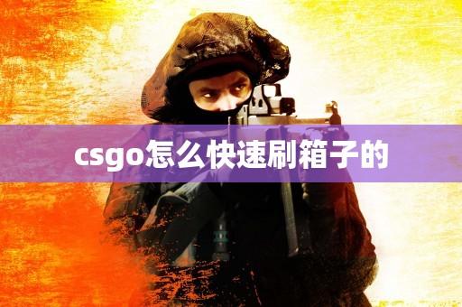 csgo脚本刷箱子,csgo脚本刷箱子
