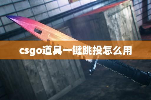 CSGO脚本怎么用?详细教程与实用技巧全攻略
