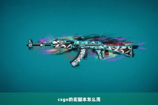CSGO脚本之家全攻略:实用资源与技巧指南