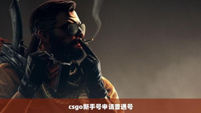 CSGO卡号网,安全可靠的交易方式是什么?