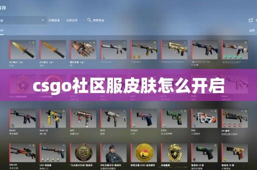csgo免费社区服:玩家福利与连接指南