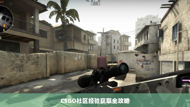 CSGO社区论坛深度解析:游戏攻略与玩家交流心得