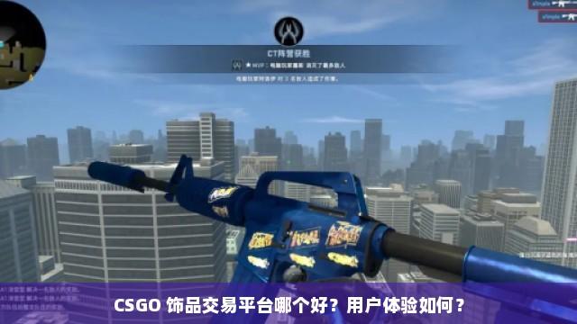 csgo饰品交易平台与市场分析