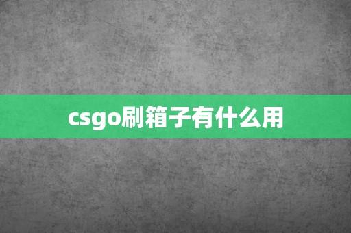 csgo刷箱子脚本