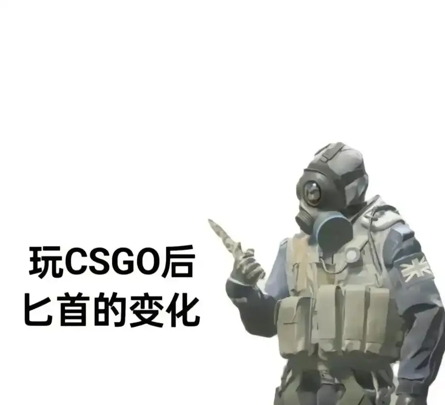 CSGO头饰是什么?全面指南与购买全解析