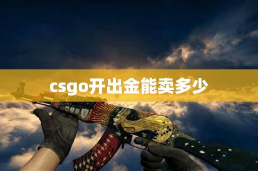 csgo投资赚钱