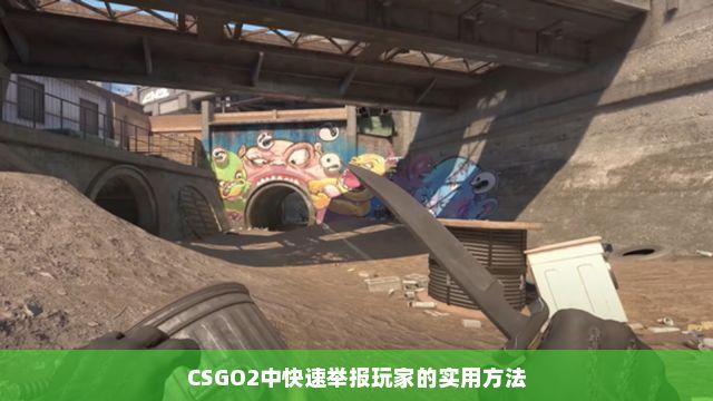 csgo外挂举报攻略,一步步教你如何操作