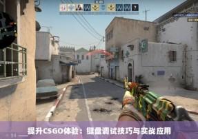 CSGO完美辅助内透使用方法与技巧