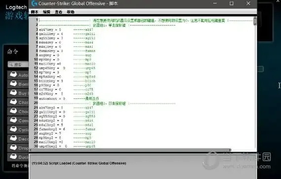 CS脚本怎么用:详细指南,掌握使用技巧