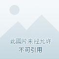 DNF手游一键秒杀辅助:高效提升游戏体验