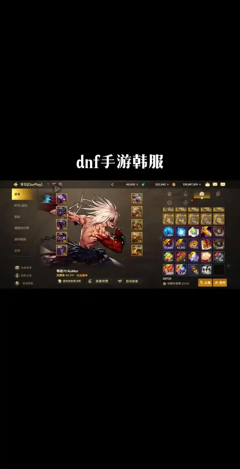 dnf手游最大的卖辅助网站
