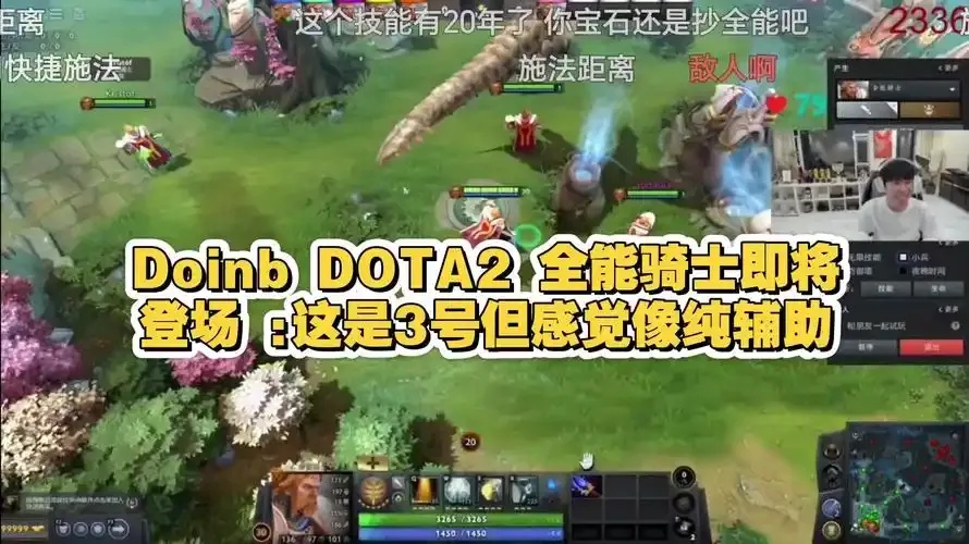 dota2辅助和纯辅助的区别
