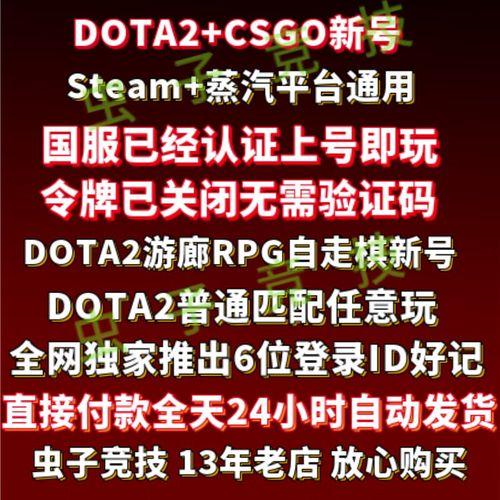 dota2国服代码查询指南