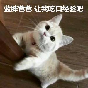 dota2最强逆天辅助推荐,这一个你绝对不可错过!
