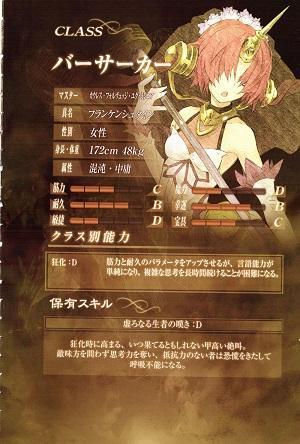 Fate辅助英灵解析