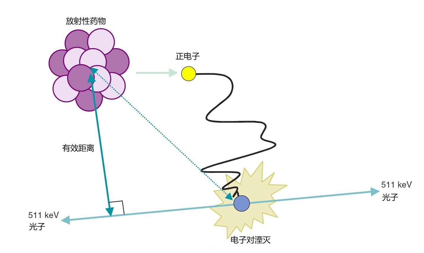 FF14自动循环插件助手:提升游戏效率的必备工具?