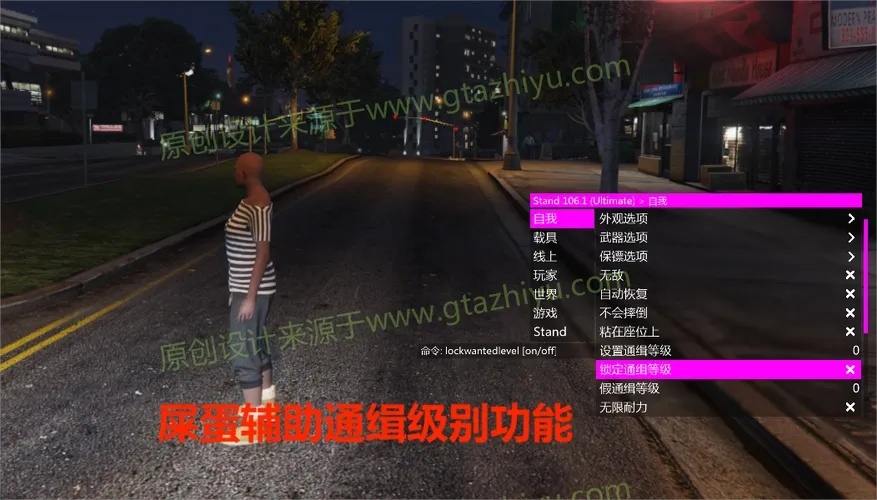 GTA5辅助网站全解析:新手必备使用指南
