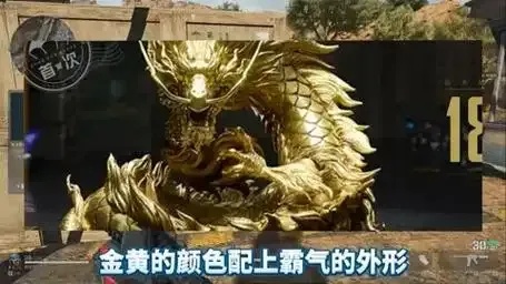 金水宝库三角洲:生态资源解析