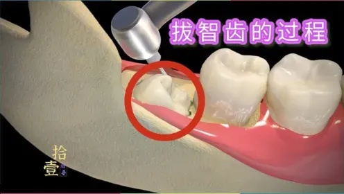 精英台球破解版下载,畅享无广告游戏体验