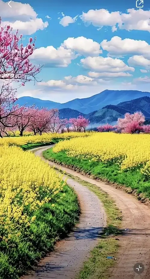 景图拍摄技巧与欣赏指南,如何拍出绝美景图