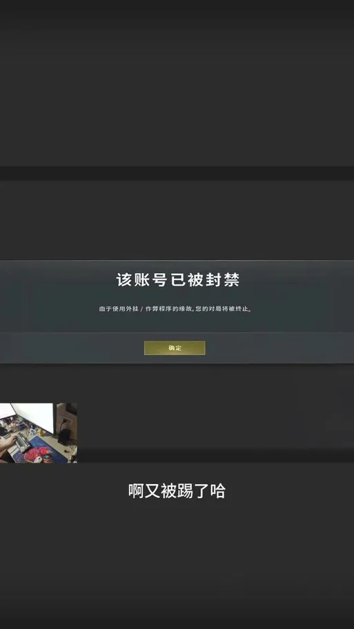绝地求生脚本挂机会封号吗 揭秘背后真相