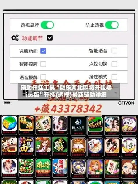 开挂器免费入口