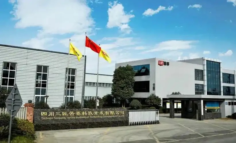 科技开发有限:AI革命将如何重塑世界?